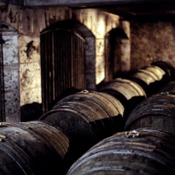 Domaine de Merpins - Cellar André Hériard Dubreuil